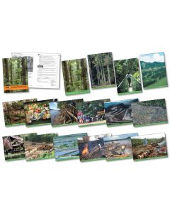 Rainforest Photopack 