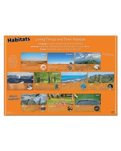 Habitat Sorting Poster