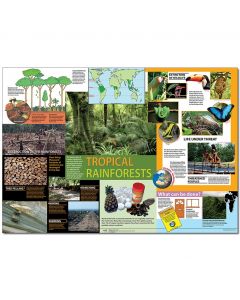 Tropical Rainforest Poster