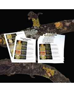 Air Pollution - Lichen Identification Charts - Pack of 10