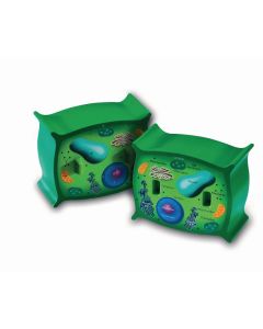 Animal and Plant Cell Model Pack