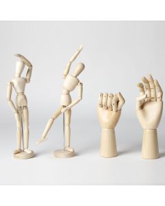 Anatomical Figures Assortment. Pack of 4