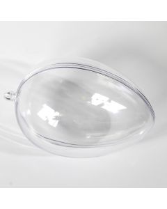Clear Plastic Egg
