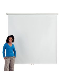 Budget Wall/Ceiling Mounted Screen - 200 x 200cm