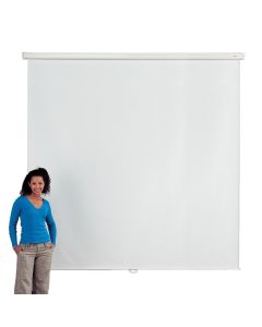 Budget Wall/Ceiling Mounted Screen - 240 x 240cm
