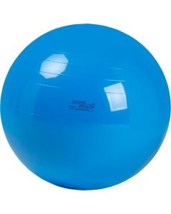 Physio Gymnic 95cm - Blue