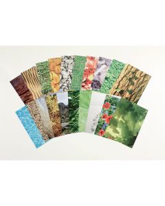 Nature's Trail - Pack of 40