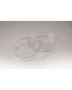 Petri Dishes Disposable - 55 x 15mm - Pack of 10