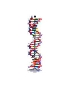 Mini DNA 22 Layer Molecular Model Kit