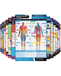 Exercise and Conditioning Posters - Full Set