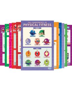 Components of Physical Fitness Posters - Pack of 12