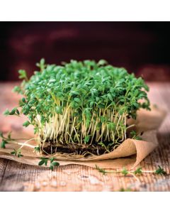 Cress Seeds - Pack of 30