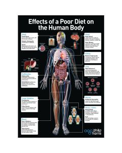 Effects of a Poor Diet On The Body Poster