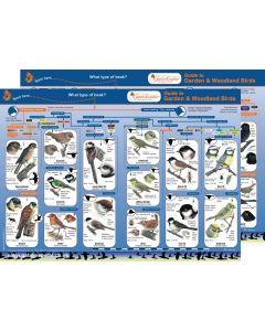 Identification Guide - Common British Garden & Woodland Birds - Pack of 5