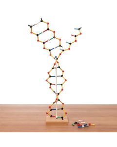 Orbit DNA-RNA Kit