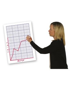 Double -Sided Dry Erase Teachers' Graph Board