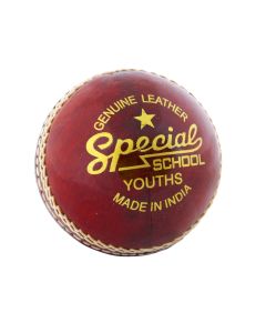 Readers Special School Cricket Ball - Red - Pack of 24