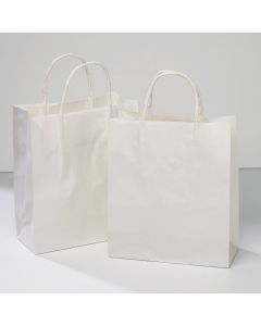 Loop Handle Paper Bags Pack