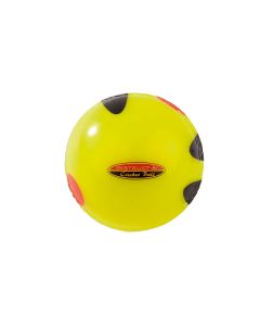 Instruct-a-Cricket Ball - Yellow