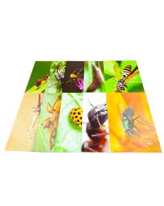 Natures Mini Beasts - Pack of 40