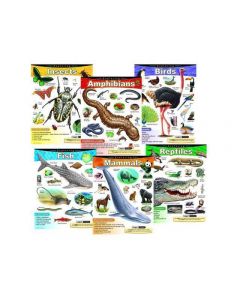 Learning Charts Combo Packs - Exploring Animals - Pack of 6