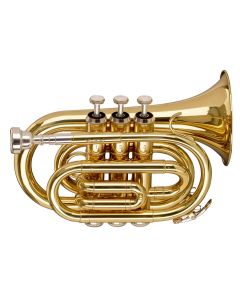 Stagg Bb Pocket Trumpet with case - Brass Lacquer