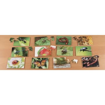 GALT Mini Beasts Jigsaw Puzzles