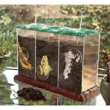 See -Through Compost Containers