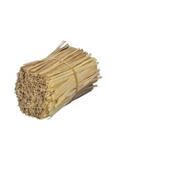 Wood Splints - Pack of 1000