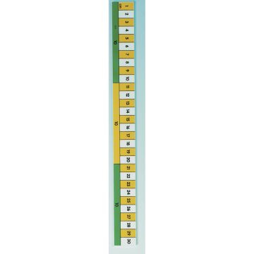 Helix Rulers 300mm/30cm - Pack of 10