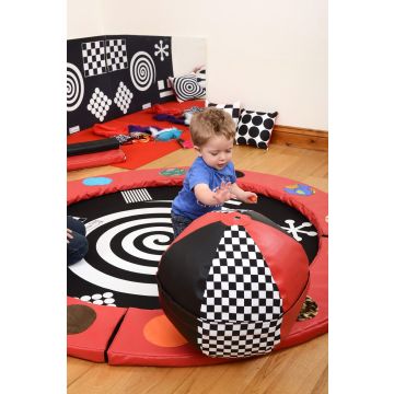 Visual Perception Balance Ball