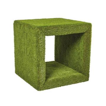 Grass Crawl Cube Tunnel