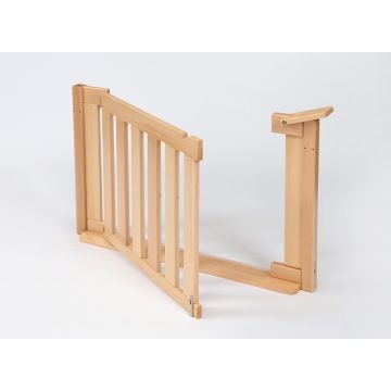 RS Room Fence Gate