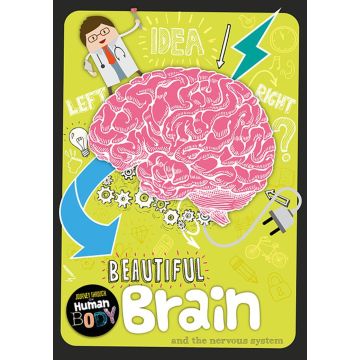 Book Life Level 14 Non-Fiction Banded Readers - Dark Blue