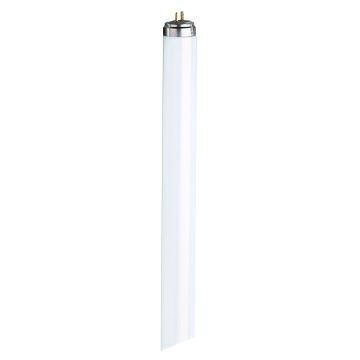 Triphosphor Tubes - 18W T8 - 600mm