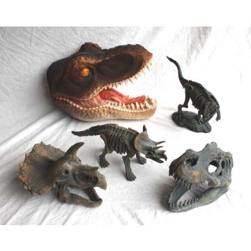 Fossils and Dinosaurs STAR BOX