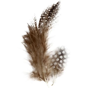 Speckled Feathers - 3g