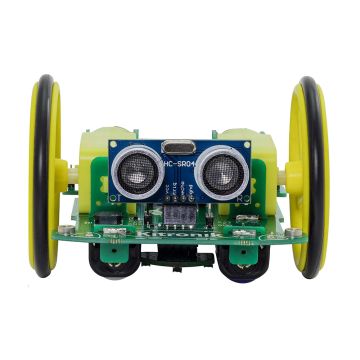 Autonomous Robotics Platform (Buggy) for Pico