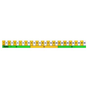 Early Learning Rulers 30cm - Pack of 10