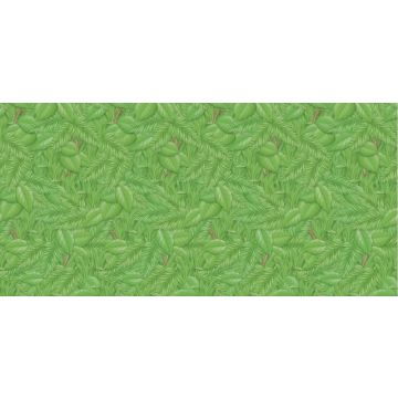 Fadeless Extra Wide Designs 1218mm x 3.6m - Tropical Foliage