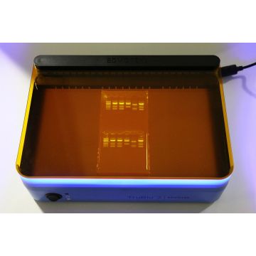 SYBR Safe Stain