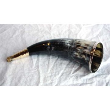 Blowing Horn