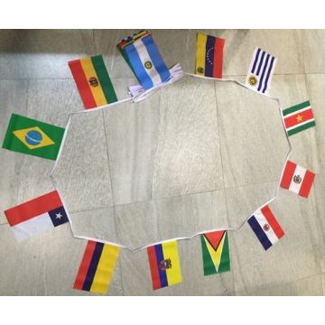 African Nations Bunting
