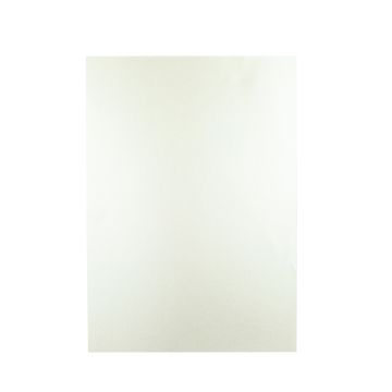 Georama Metallics A4 120gsm - Platinum - Pack of 100