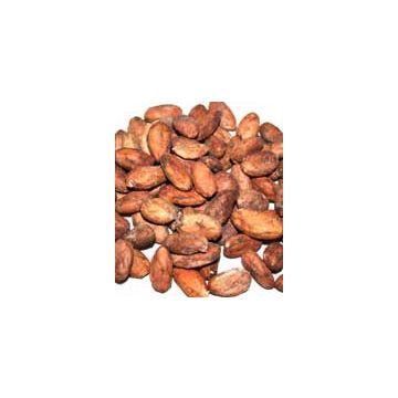 Cocoa Beans
