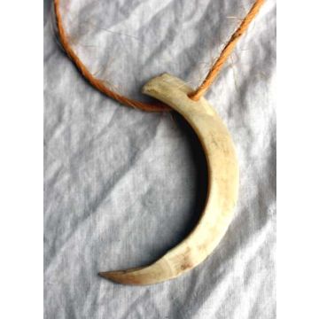 Boars Tusk Necklace
