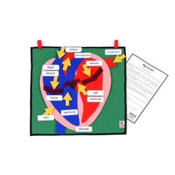 Big Heart - Interactive Display