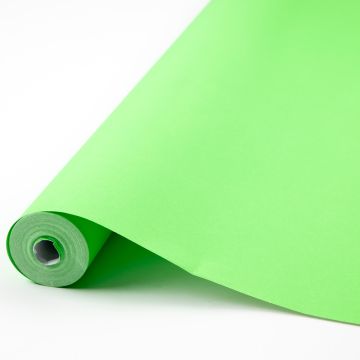 Classmates Poster Paper Roll - 1020mm x 25m - Pale Green