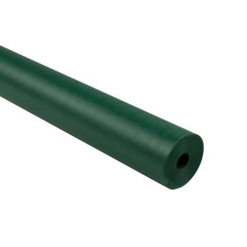 Frieze Paper Roll 1025mm x 25m - Forest Green