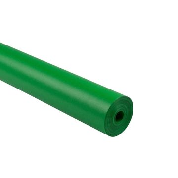 Frieze Paper Roll 1016mm x 25m - Leaf Green
